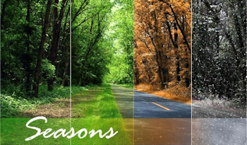 Changing Seasons