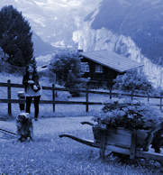 Treasures from Above